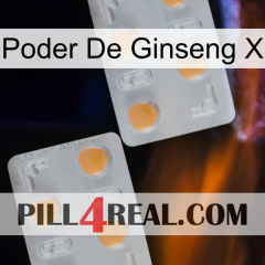 Ginseng Power X 25